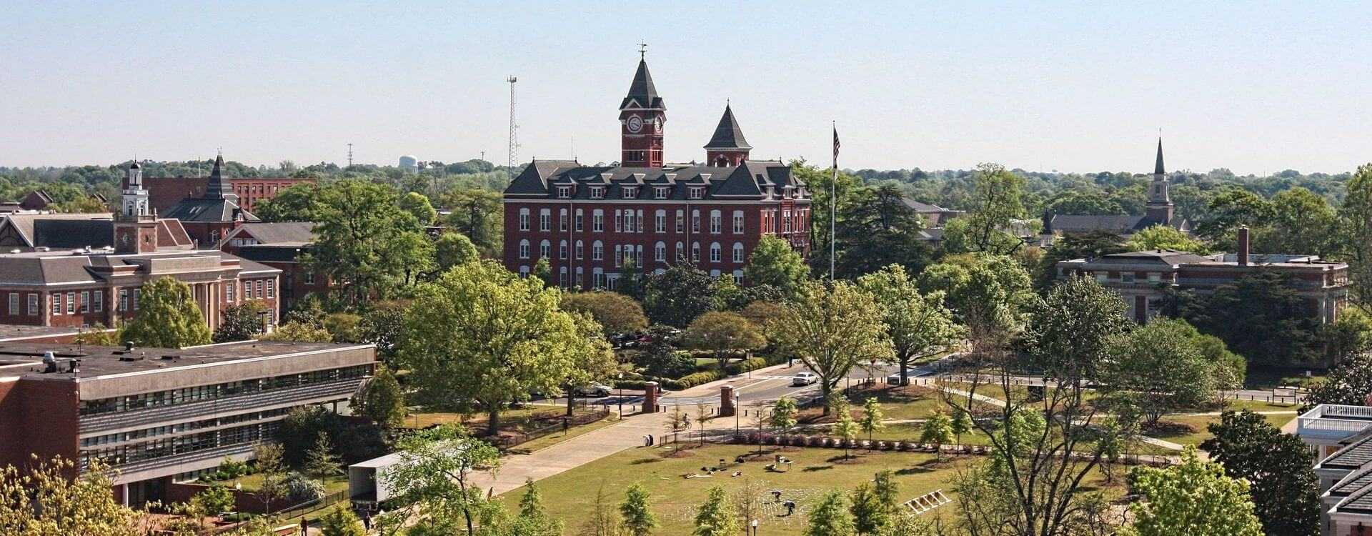 Auburn University Raising Money for Olive Oil and Alzheimer's Research